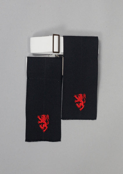 Embroidered Lion Rampant Flashes