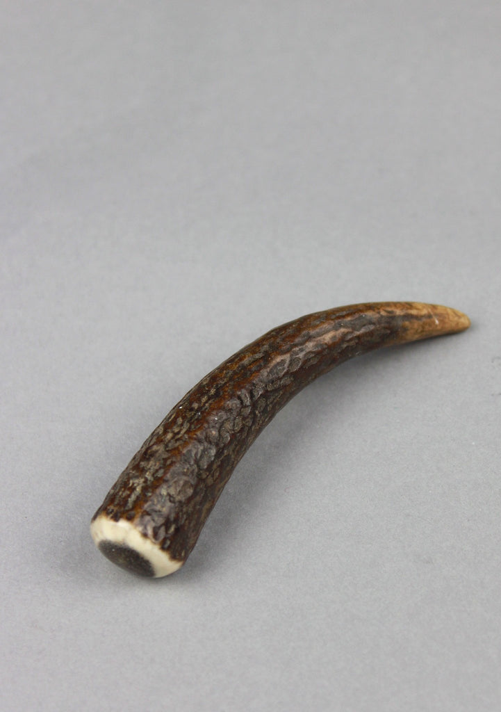 Standard Horn Kilt Pin