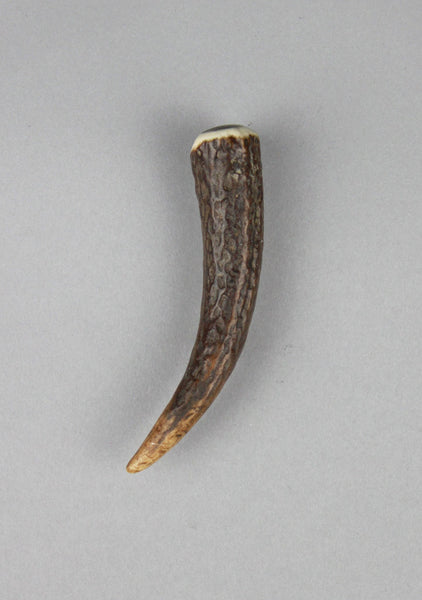 Standard Horn Kilt Pin