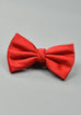 Bow Tie