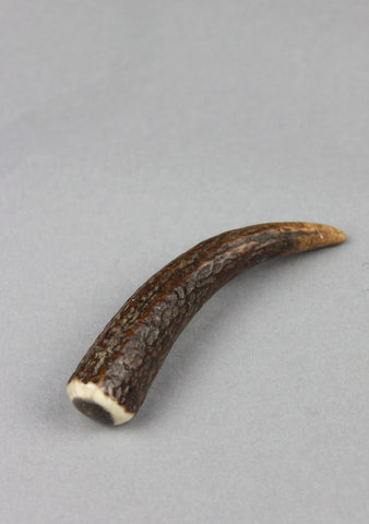 Standard Horn Kilt Pin
