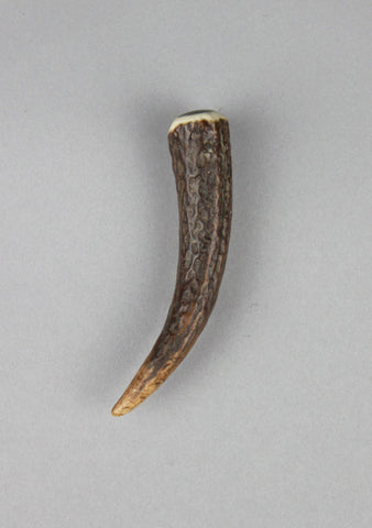 Standard Horn Kilt Pin